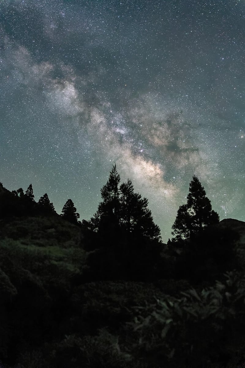 Constellation Dress